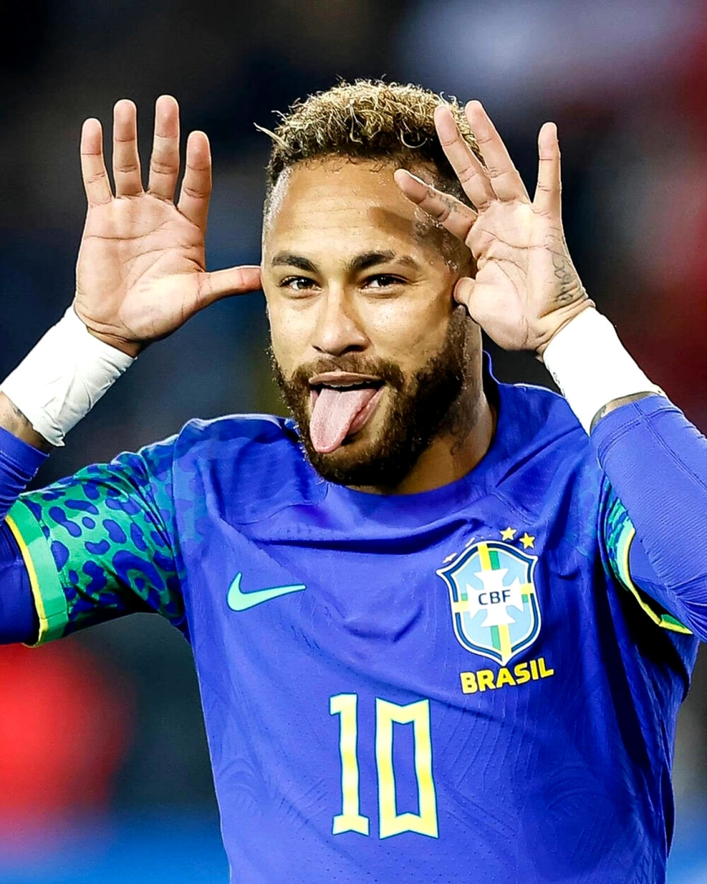 网似乎已经 网似乎已经