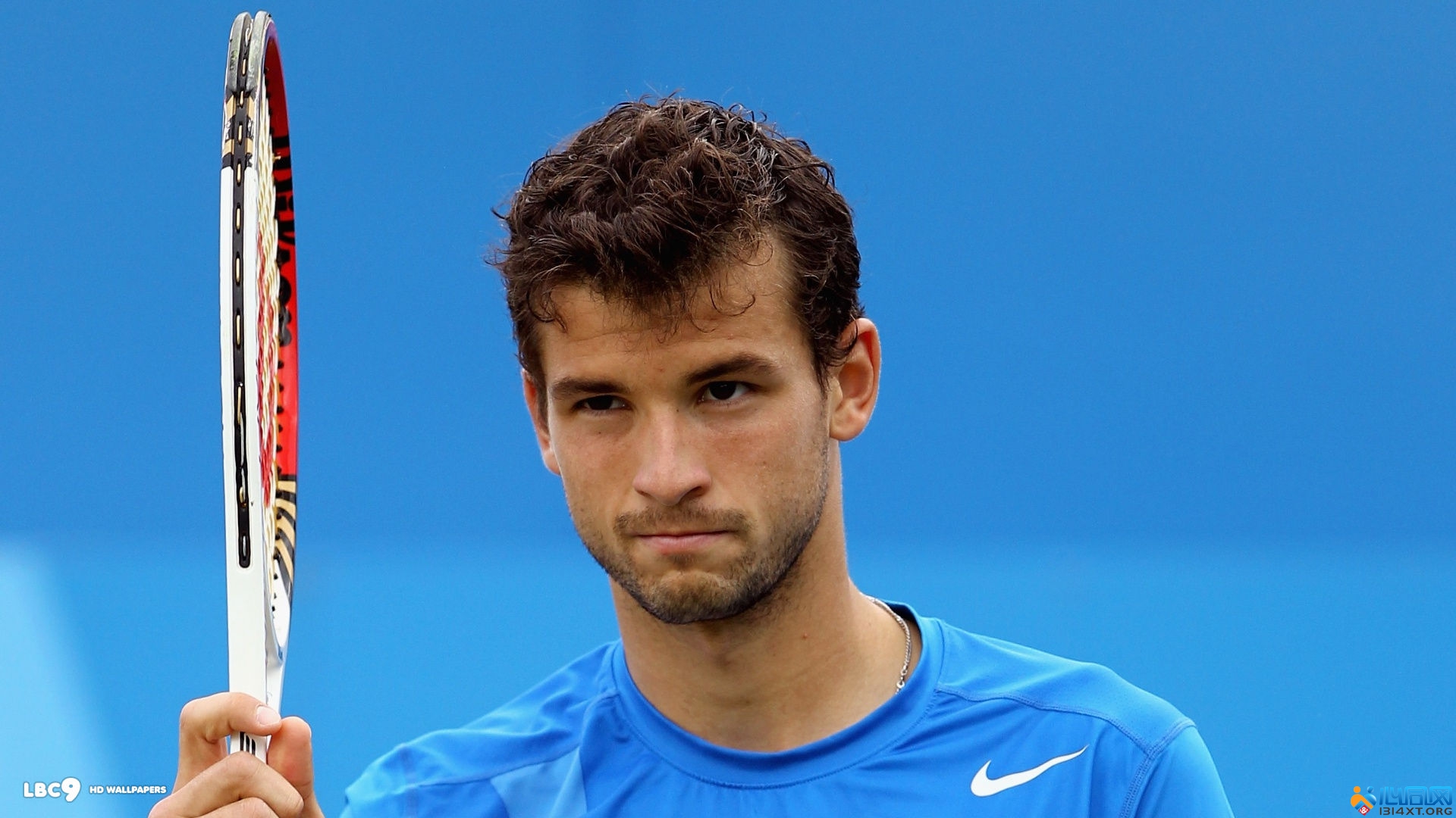 森林狼与意 森林狼与意